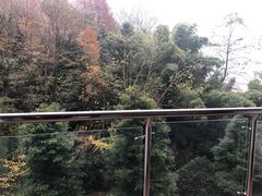 -花水湾第一村温泉大酒店