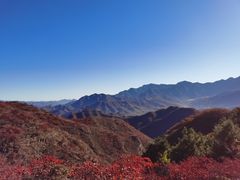 -水峪民俗村