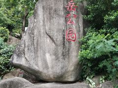 -仙岳公园