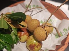 -季季山·云南野生菌火锅(上海首店)