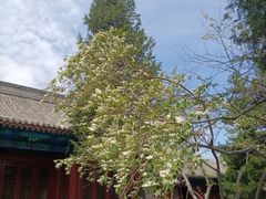-大钟寺古钟博物馆