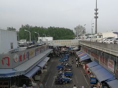 -江杨农产品批发市场