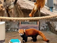 -香港海洋公园