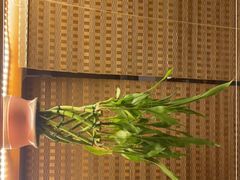 -和创柚子·会席日本料理(新区淮海街店)