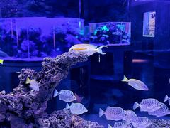 -上和臻品中国菜(花园街店)