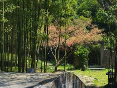 -黄公望隐居地