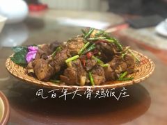 -凤百年大骨鸡饭庄