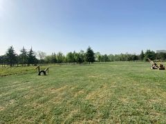 -汉长安城未央宫国家考古遗址公园