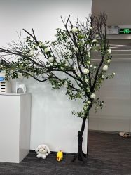 点击看大图 -ANRI安里·专业男士脱毛连锁