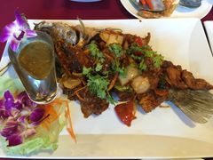 -Daddy Nimman Chiang Mai