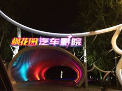 iphone_upload_pic-枫花园汽车电影院(朝阳公园店)