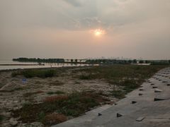 -合肥滨湖国家森林公园