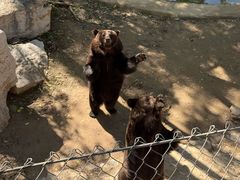 -石家庄市动物园