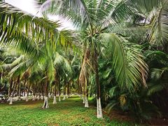 -白沙门生态公园