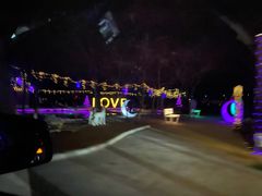 -枫花园汽车电影院(朝阳公园店)
