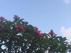 -三亚亚龙湾五号度假别墅酒店