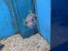 -常州海昌海洋探索馆