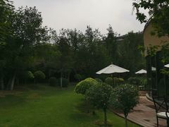 -清河半岛微风餐厅
