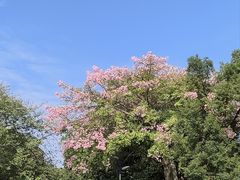 -广东金融学院(校本部)