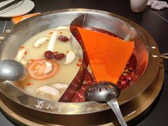 -蜀九香火锅(彩虹店)