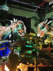 -恐龙探索乐园(磁器口店)