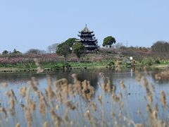 -上海海湾国家森林公园