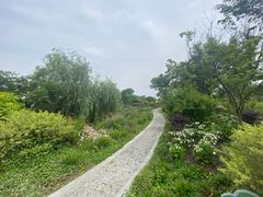 -柳鹭田园区