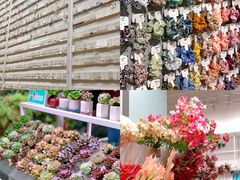 -KKV(深圳宏发大仟里店)