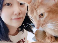 -飞行喵MR PILOT|猫舍·猫咖(静安大融城店)