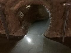-中国湿地博物馆