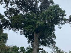 -金堂县云顶石城风景区