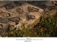 DSC_2610_副本-三山岛