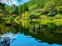 -深圳仙湖植物园