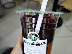 -阿叶羊杂碎(前进街店)