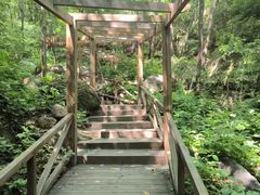 -大岭沟猕猴桃谷风景区
