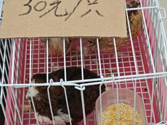 -兴芮温泉度假区