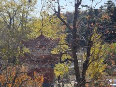 -遵化市禅林寺古银杏风景园