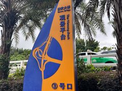 -演武大桥观景平台