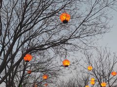 -清明上河园