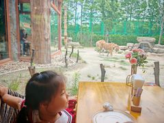 -上海野生动物园老虎餐厅