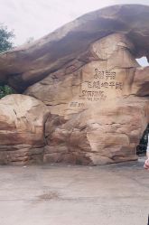 -翱翔飞越地平线