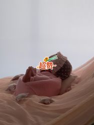 -西瓜庄园儿童摄影