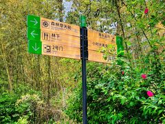 -日照海滨国家森林公园