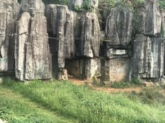-无锡动物园·太湖欢乐园