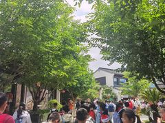 -雅达·阳羡溪山小镇中心