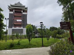 -王借岗森林公园