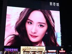 -广州白天鹅宾馆