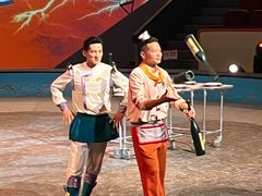 -上海马戏城