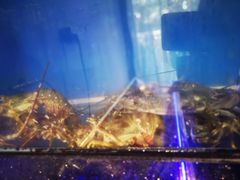 -华盛丰温州大排档(东三环南路店)