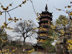 -红梅公园